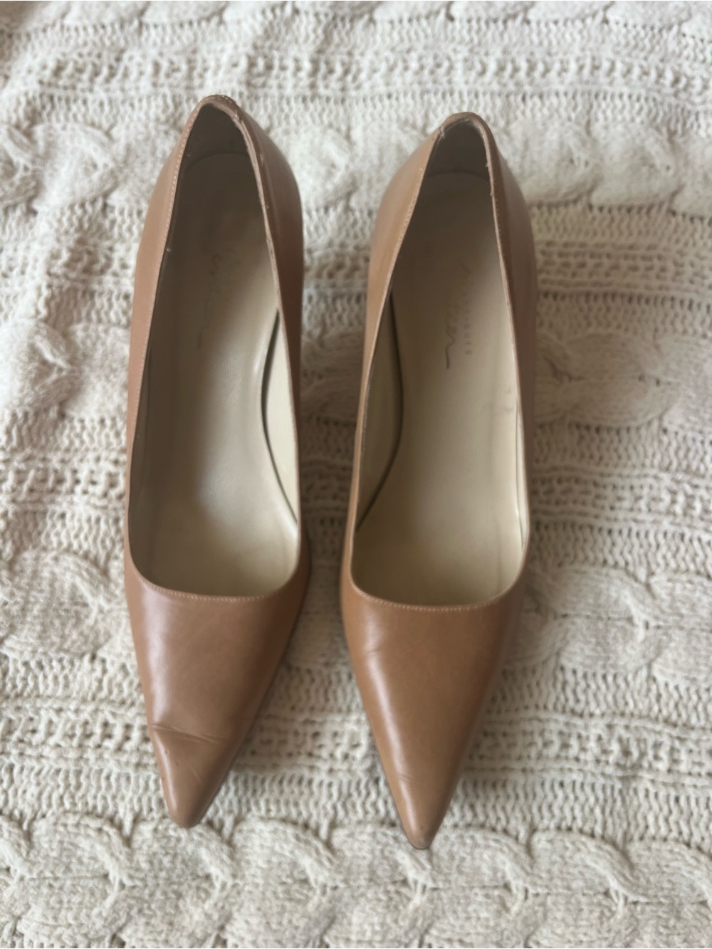 Classiques Entier Pointed Leather Pumps in Tan